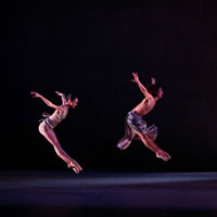 Сценические покрытия GraboShow Studio 15 Сценические покрытия GraboShow Studio 15