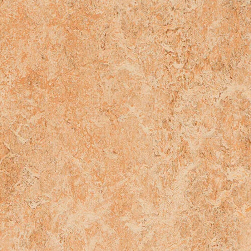 Forbo Marmoleum Real 3075 Shell, натуральный линолеум