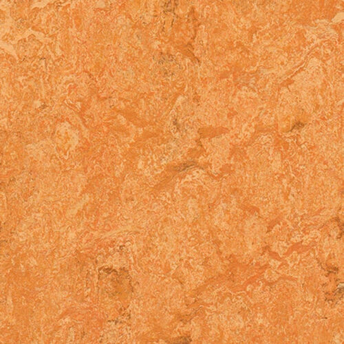 Forbo Marmoleum Real 3174 Sahara, натуральный линолеум