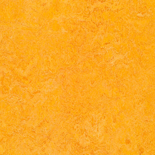 Forbo Marmoleum Real 3225, 322535 Dandelion, натуральный линолеум