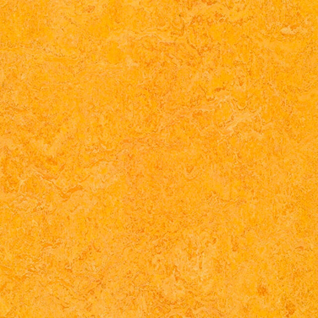 Forbo Marmoleum Real 3225, 322535 Dandelion, натуральный линолеум