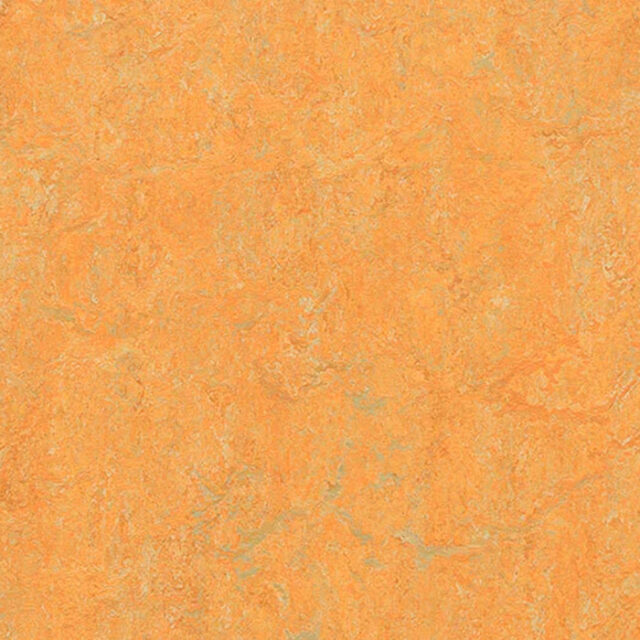 Forbo Marmoleum Real 3847 Golden Saffron, натуральный линолеум