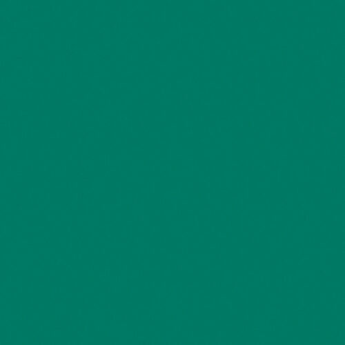 Tarkett OmniSports Action 65 Forest Green, спортивный линолеум