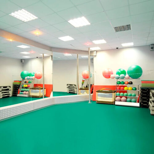 Tarkett Omnisports Action 40 спортивный линолеум