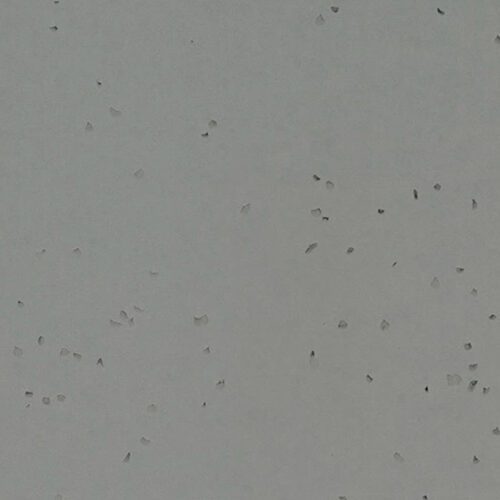 Forbo Sphera Energetic 50251 Pigeon, коммерческий гомогенный линолеум